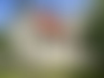 Mer respekt för skattebetalarna