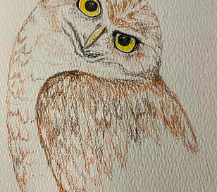 A Feathered Palette owl with oil paints and brushes.