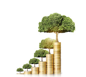 Book a free business growth diagnosis call with Bonsai Groups