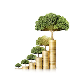 Bonsai strategy to dollars
