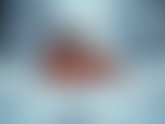 Why You Need Professional Snow Removal Services