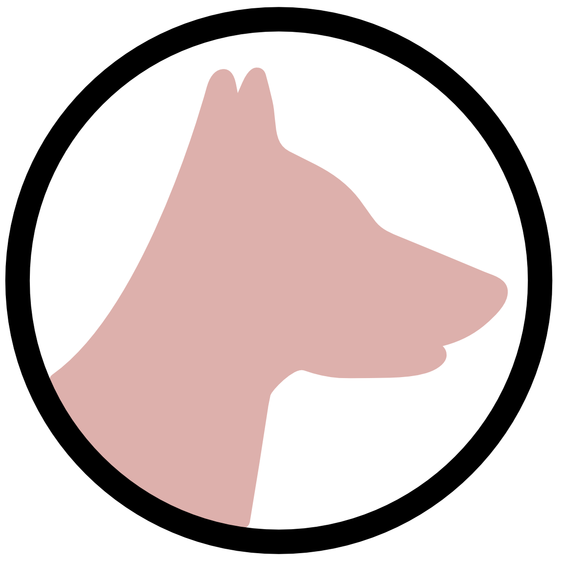 Services & Prices | GOGO Bathers