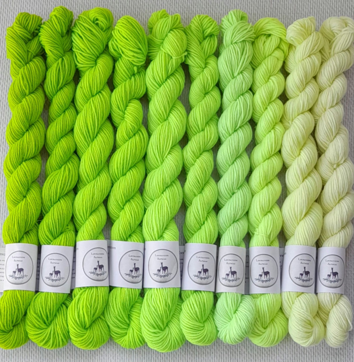 Granny Smith Fade 25gm minis 4ply
