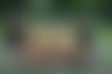 Inclusion Football Festival