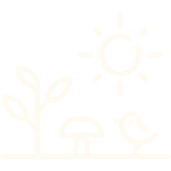ecosistema.png