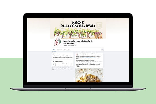Marche: dalla Vigna alla Tavola