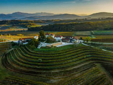 Azienda Torre Rosazza