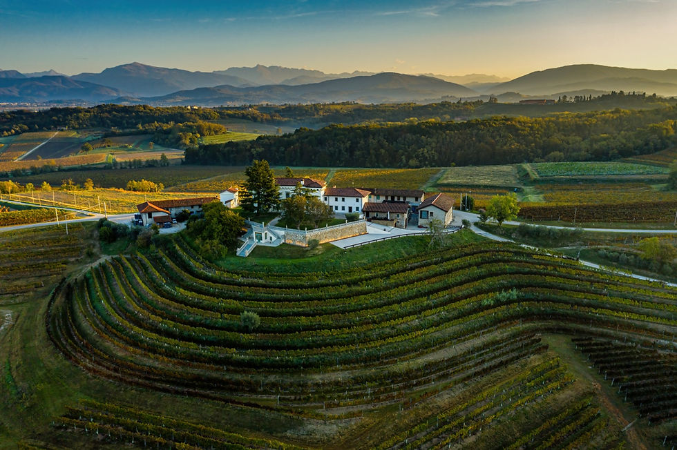Azienda Torre Rosazza