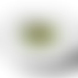 Risotto all’erbe, lumache e kefir