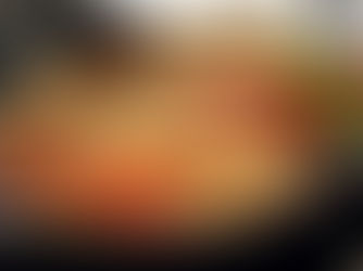 Risotto aragosta e champagne