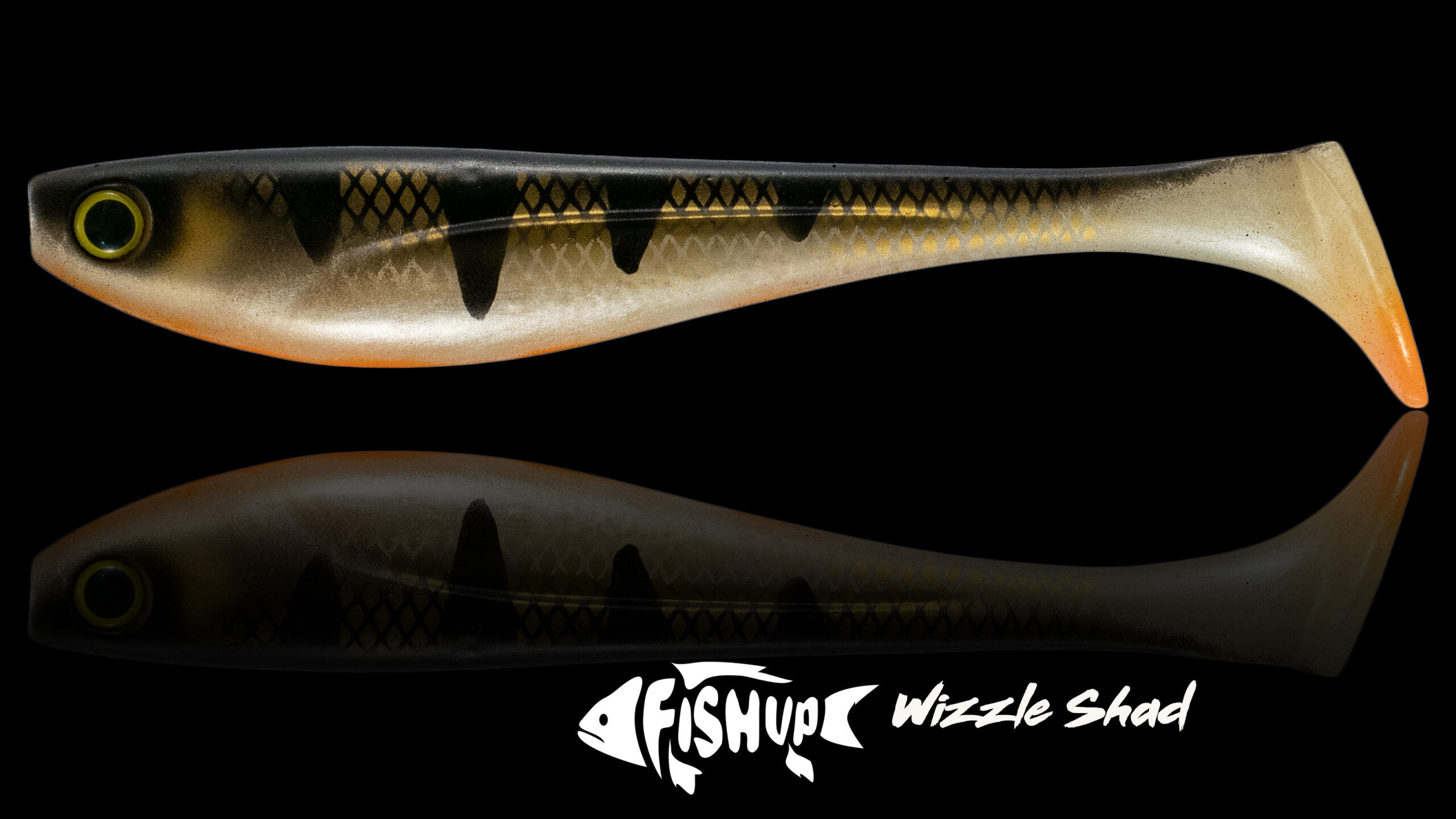 Leurre Souple FISHUP Wizzle Shad