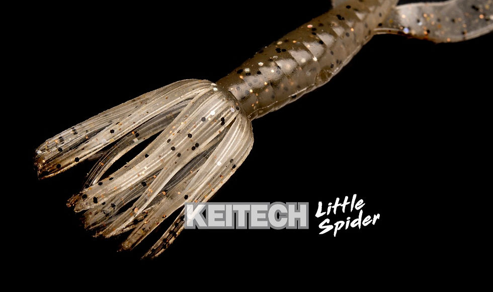 Miniature : Leurre KEITECH - Little Spider 2"