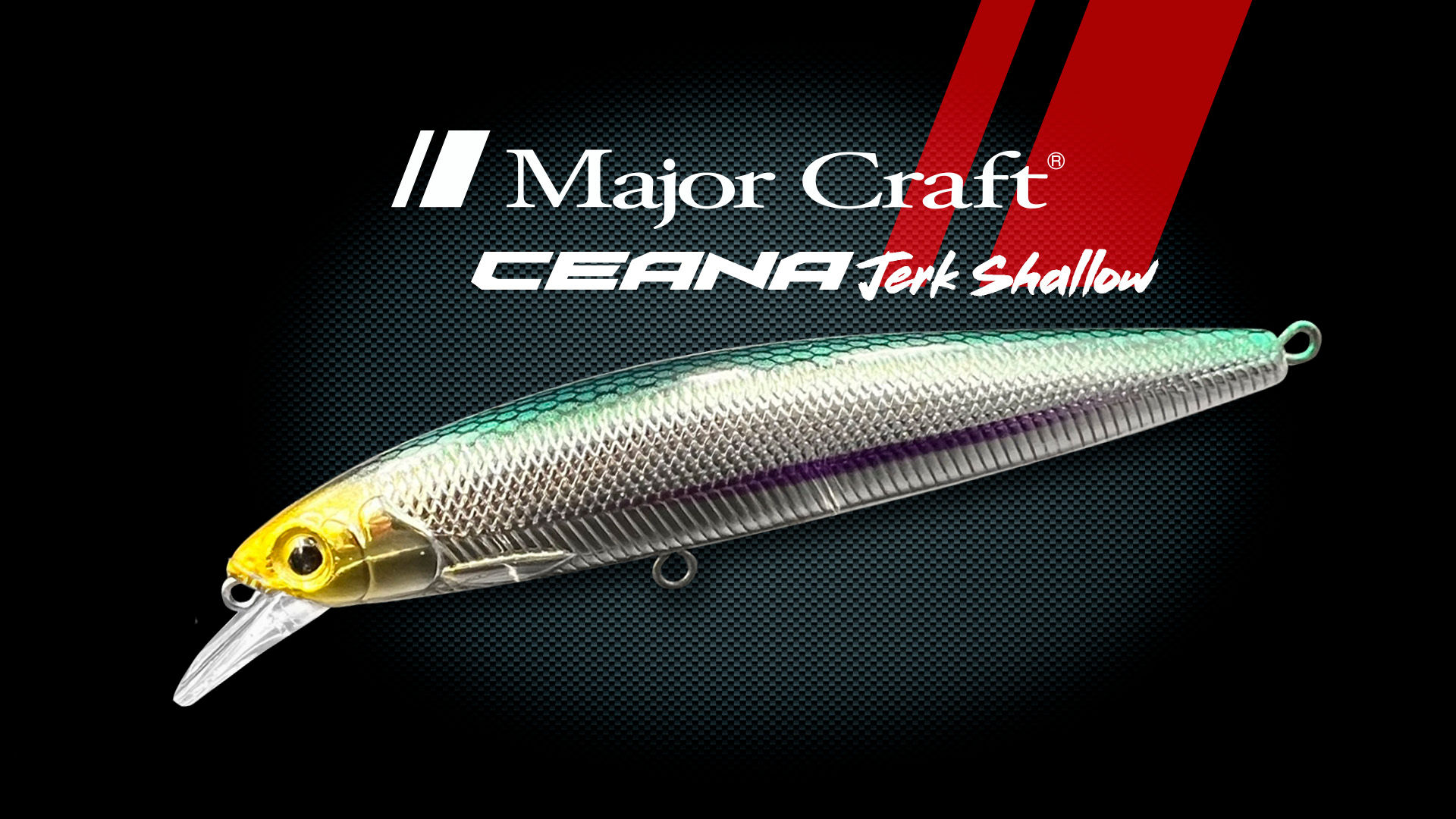 Leurre Dure MAJOR CRAFT Ceana Jerk Shallow