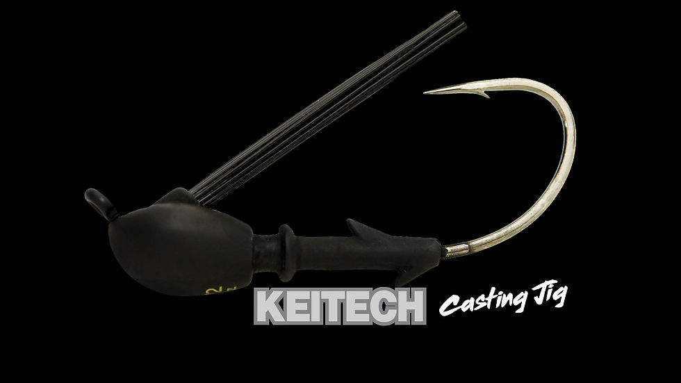 Thumbnail: Tête Plombées KEITECH CASTING JIG