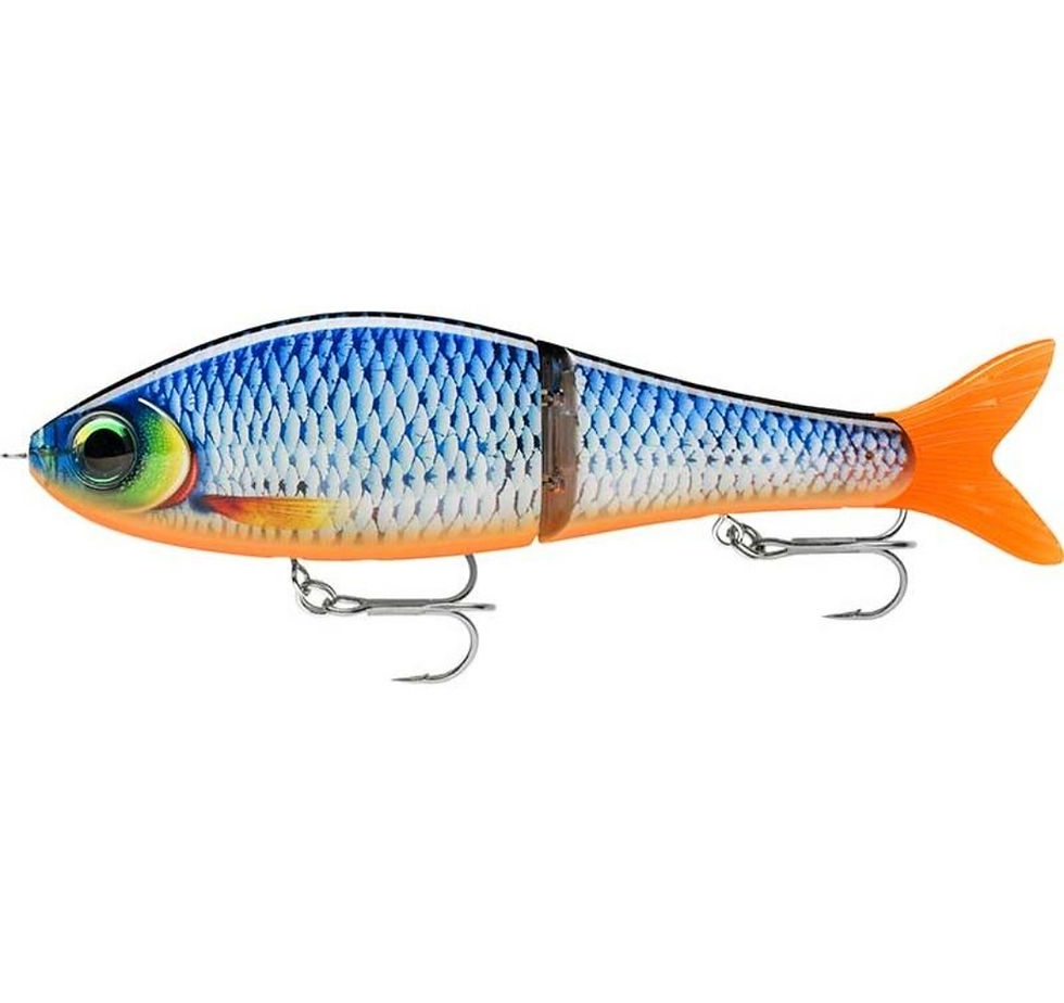 Miniature : Leurre Coulant Rapala Super Shadow Rap Glide - 11Cm
