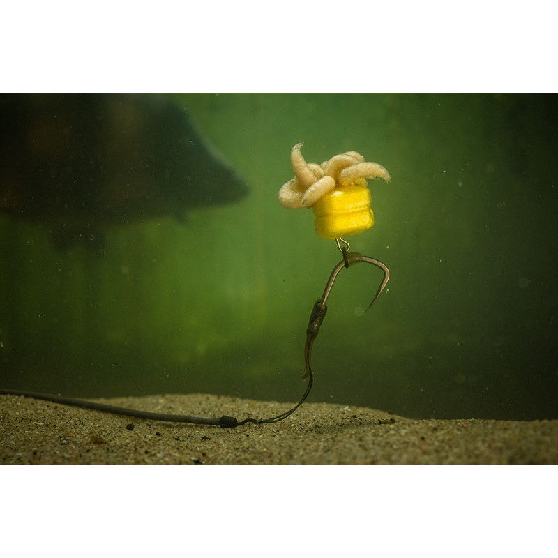 Thumbnail: Maïs Artificiel Pole Position Corn Maggotclip