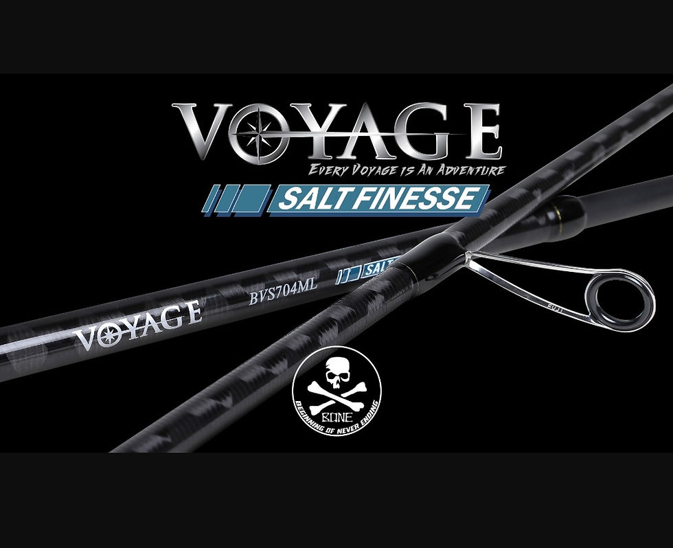 Thumbnail: Canne Spinning BONE Voyage SALT FINESSE