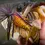Thumbnail: Leurre Chunky D Missile Baits