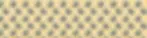 Banner_in-between_little_whales-01.webp