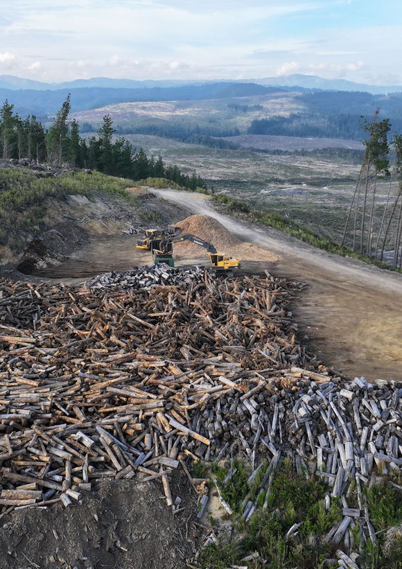 Forestry slash, Forest cleanup, forestry nz, Biomass, Hogfuel, Wood Energy, 