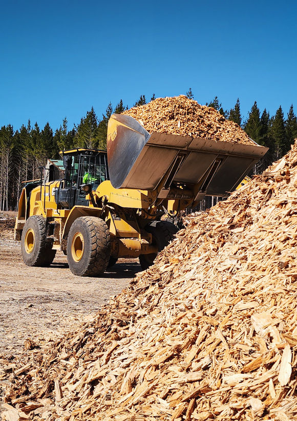 Forestry slash, Forest cleanup, forestry nz, Biomass, Hogfuel, Wood Energy, 