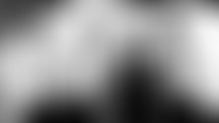 The Interrupters, sulle orme dei Rancid