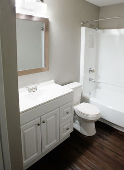 NEWLY Renovated Interiors