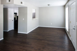 NEWLY Renovated & Spacious Interiors