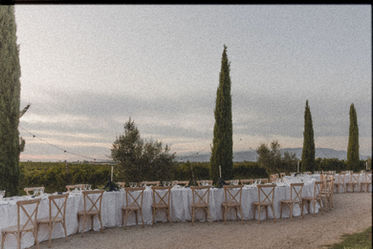Festa dell'uva