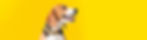 yd-banner-about.jpg