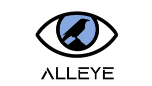 Why ALLEYE CMMS