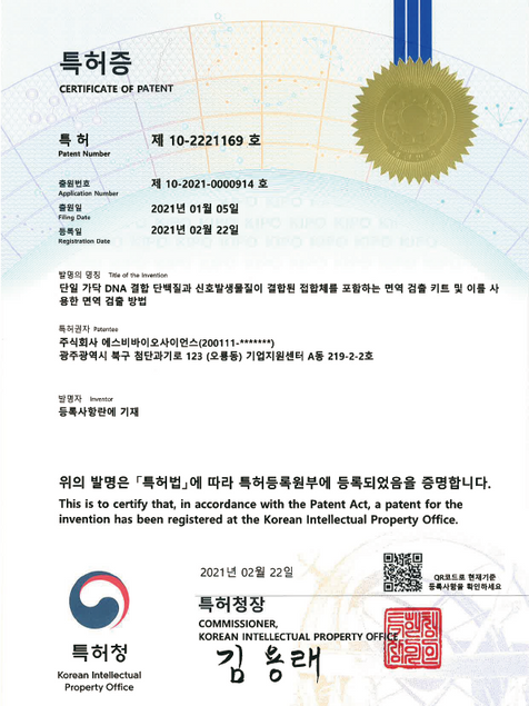 단일 가닥 DNA 결합 단백질과 신호발생물질이 결합된 접합체를 포함하는 면역 검출 키트 및 이를 사용한 면역 검출 방법