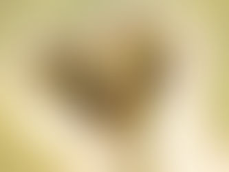 Η ΑΕΚ είναι η ίδια... η ζωή! ( pic + vid )