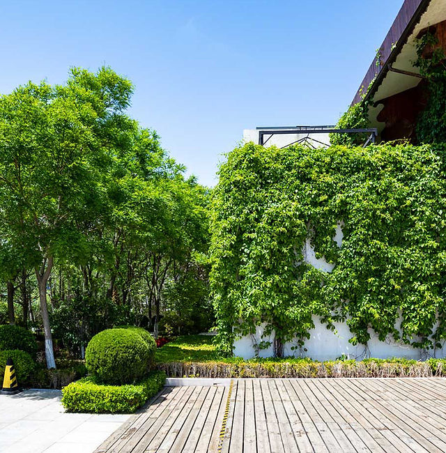 1odixa Zgguy2m 1odixa Zgguy2m