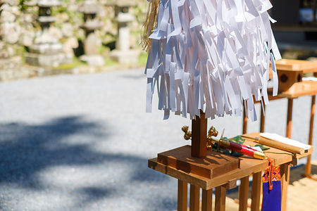 AdobeStock_292261567.jpeg