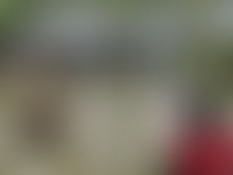 Bidyanondo: Saving lives in flood affected Sunamganj