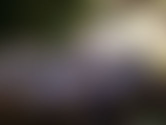 A LIBERDADE RELIGIOSA É UM DIREITO CONSTITUCIONAL