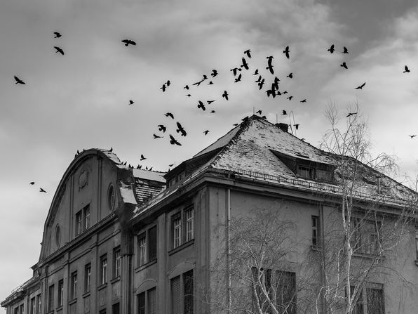 musings about Halloween