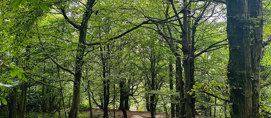 Trosley Country Park, Kent