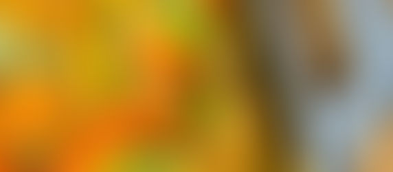 Campfire Thai Red Curry