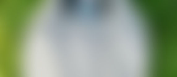 Outside Gang Drinks Cooler