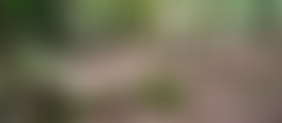 Why does resilience really matter?