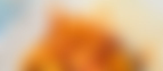 Spicy & Smoky Mexican Chicken