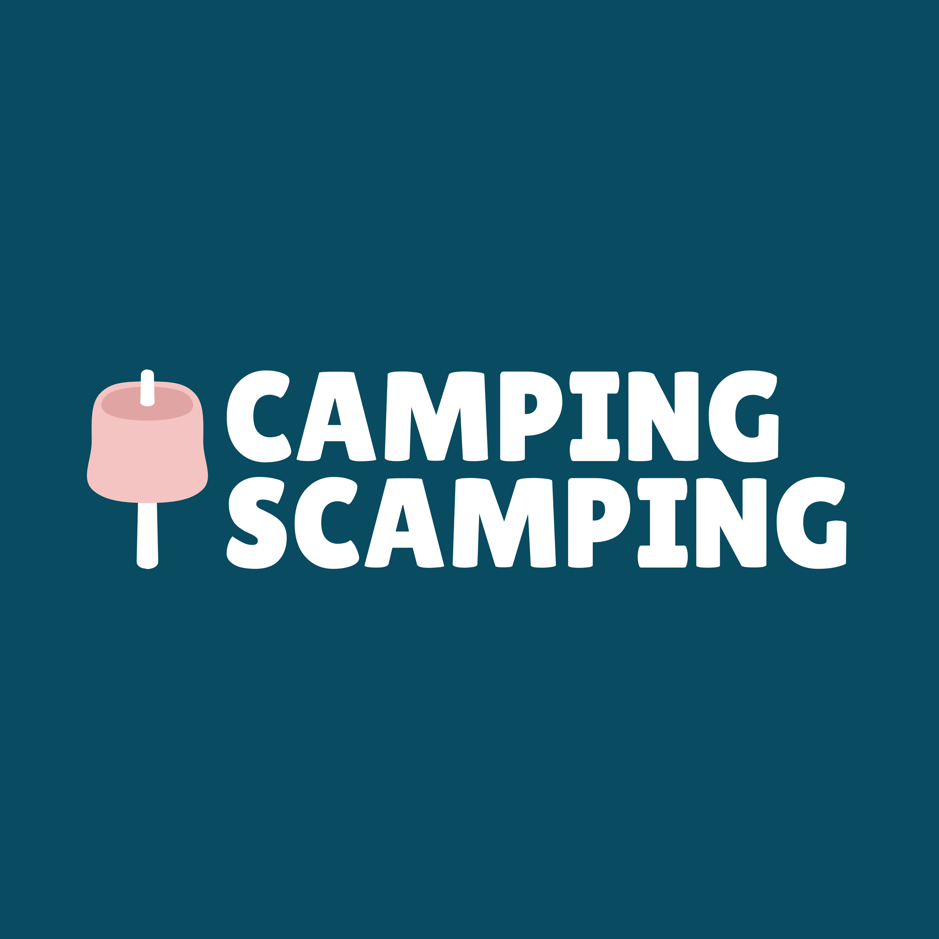 Writer: Camping Scamping