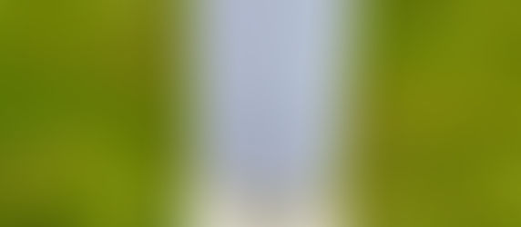 Bavonar Solar Camping Light