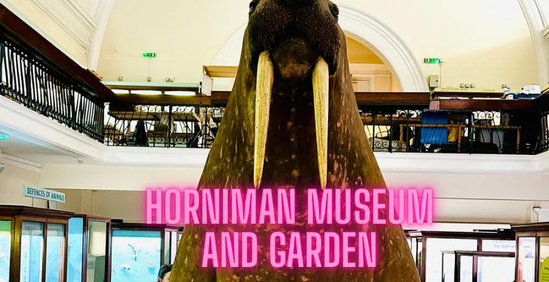 Horniman Museum and Garden, Forest Hill, SE23 