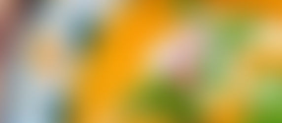 Roasted Butternut Squash and Tomato Soup (and Maker!)