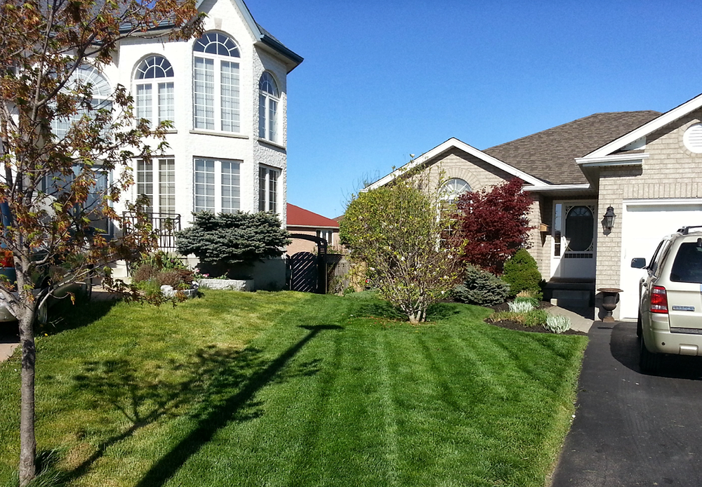 Guelph lawn cutting service