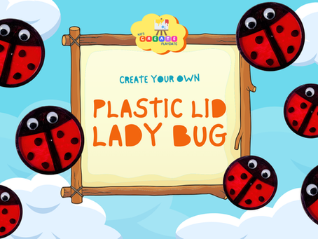 Plastic Lid Lady Bug