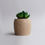 Thumbnail: Wooden Textured Indoor Planter